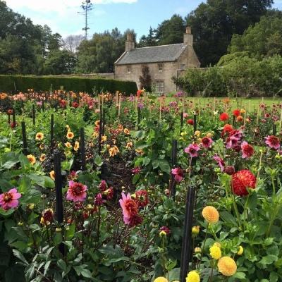 博鱼综合体育在线登录入口