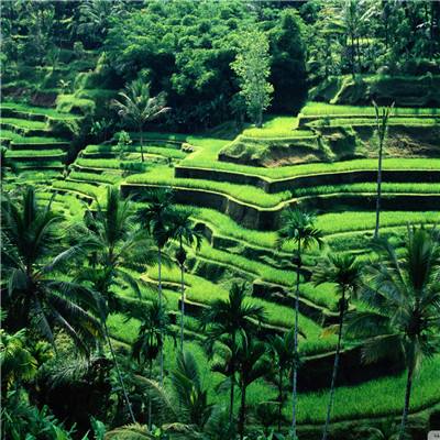 乐鱼体育app下载